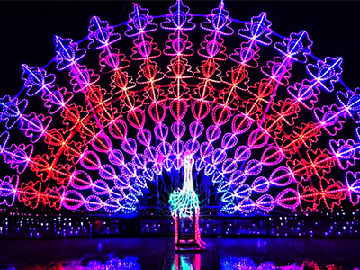 灯光节