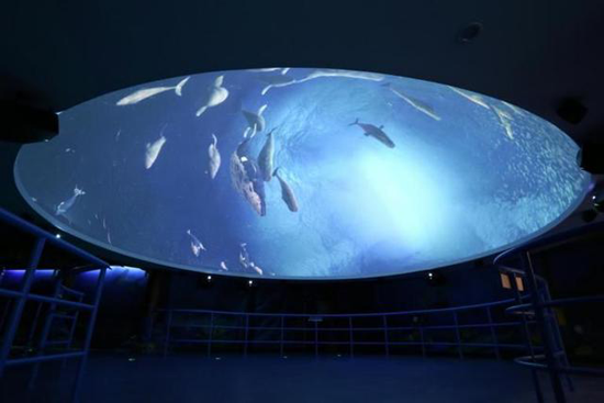 球幕1.png 球幕1.png