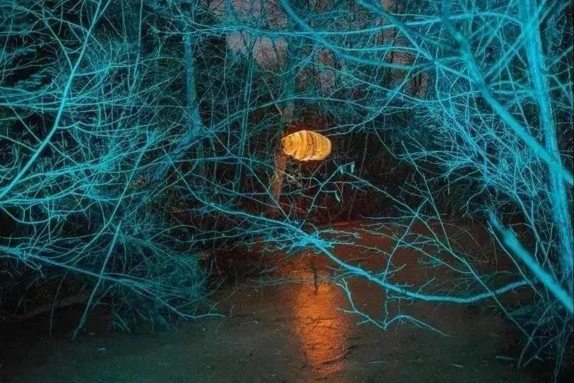 1627619752908455.jpg 微信图片_20210730114110.jpg