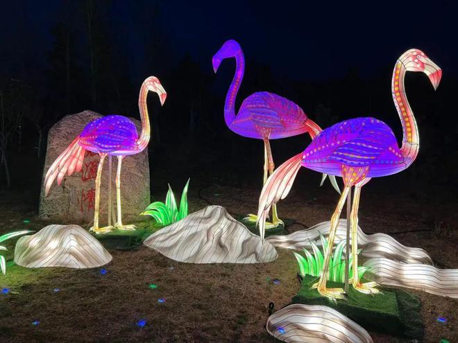 下载 (9).jpg 下载 (9).jpg